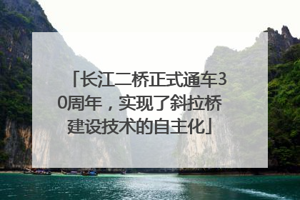 长江二桥正式通车30周年，实现了斜拉桥建设技术的自主化