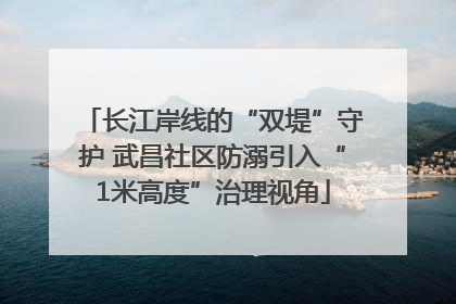 长江岸线的“双堤”守护 武昌社区防溺引入“1米高度”治理视角