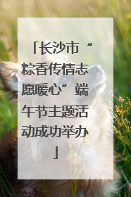 长沙市“粽香传情志愿暖心”端午节主题活动成功举办