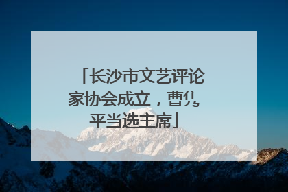 长沙市文艺评论家协会成立，曹隽平当选主席