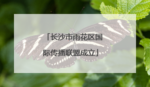 长沙市雨花区国际传播联盟成立