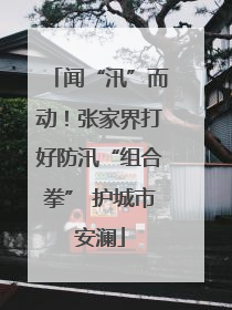 闻“汛”而动！张家界打好防汛“组合拳” 护城市安澜