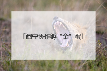 闽宁协作孵“金”蛋