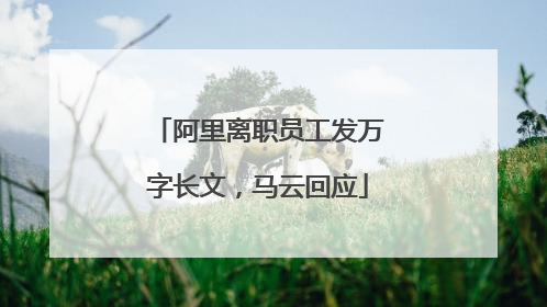 阿里离职员工发万字长文，马云回应
