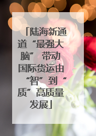 陆海新通道“最强大脑” 带动国际货运由“智”到“质”高质量发展