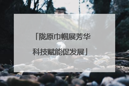 陇原巾帼展芳华 科技赋能促发展