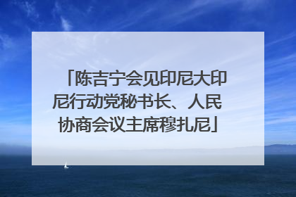 陈吉宁会见印尼大印尼行动党秘书长、人民协商会议主席穆扎尼