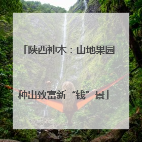 陕西神木：山地果园种出致富新“钱”景