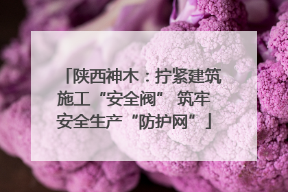 陕西神木：拧紧建筑施工“安全阀” 筑牢安全生产“防护网”