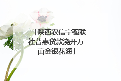 陕西农信宁强联社普惠贷款浇开万亩金银花海