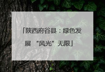 陕西府谷县：绿色发展 “风光”无限