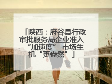陕西：府谷县行政审批服务局企业准入“加速度” 市场生机“更盎然”