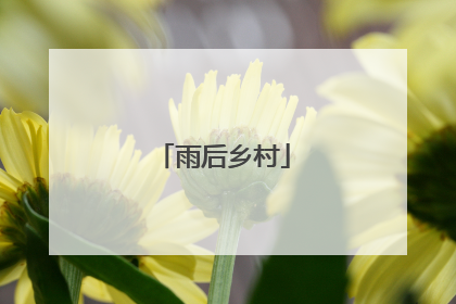 雨后乡村
