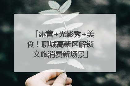 露营+光影秀+美食！聊城高新区解锁文旅消费新场景
