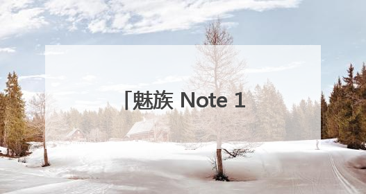 魅族 Note 16 补货开售再获榜单桂冠，京东、抖音双平台销量领先！