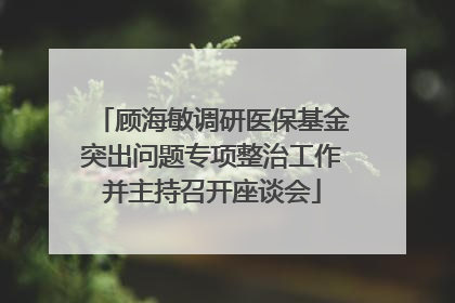 顾海敏调研医保基金突出问题专项整治工作并主持召开座谈会