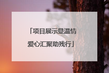 项目展示显温情 爱心汇聚助残行
