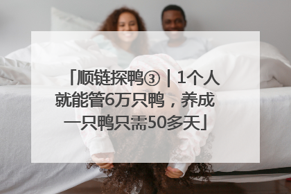 顺链探鸭③｜1个人就能管6万只鸭，养成一只鸭只需50多天