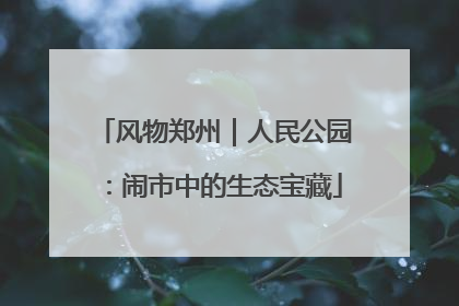风物郑州｜人民公园：闹市中的生态宝藏