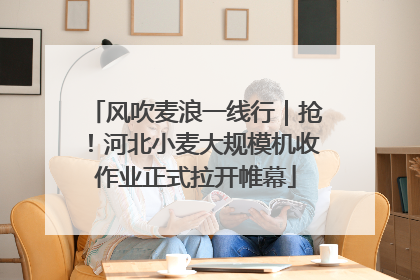 风吹麦浪一线行｜抢！河北小麦大规模机收作业正式拉开帷幕