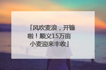 风吹麦浪，开镰啦！顺义15万亩小麦迎来丰收