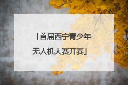首届西宁青少年无人机大赛开赛