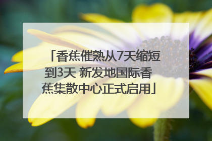 香蕉催熟从7天缩短到3天 新发地国际香蕉集散中心正式启用