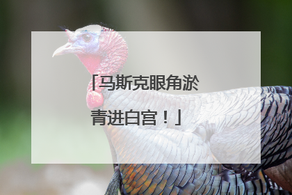 马斯克眼角淤青进白宫！