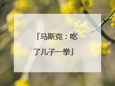马斯克：吃了儿子一拳