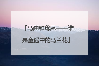 马蔺和鸢尾——谁是童谣中的马兰花