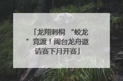 龙翔刺桐 “蛟龙”竞渡！闽台龙舟邀请赛下月开赛