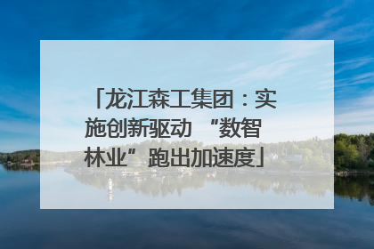 龙江森工集团：实施创新驱动 “数智林业”跑出加速度
