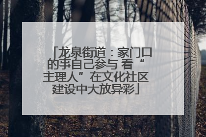 龙泉街道：家门口的事自己参与 看“主理人”在文化社区建设中大放异彩