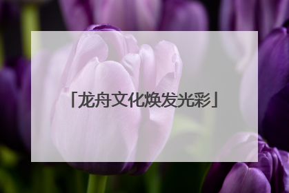 龙舟文化焕发光彩