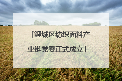 鲤城区纺织面料产业链党委正式成立