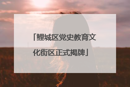 鲤城区党史教育文化街区正式揭牌