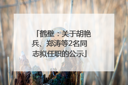鹤壁：关于胡艳兵、郑涛等2名同志拟任职的公示