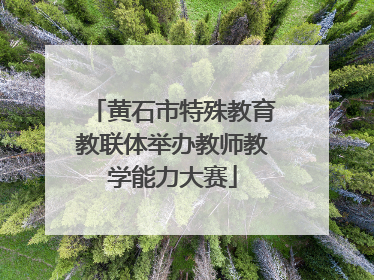 黄石市特殊教育教联体举办教师教学能力大赛