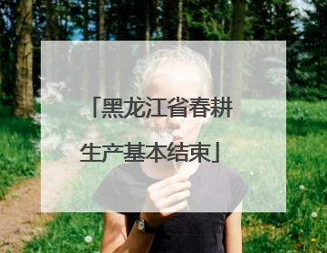 黑龙江省春耕生产基本结束