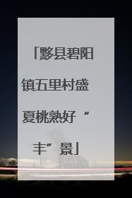 黟县碧阳镇五里村盛夏桃熟好“丰”景