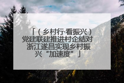 （乡村行·看振兴）党建联建推进村企结对 浙江遂昌实现乡村振兴“加速度”