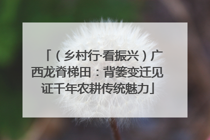 （乡村行·看振兴）广西龙脊梯田：背篓变迁见证千年农耕传统魅力