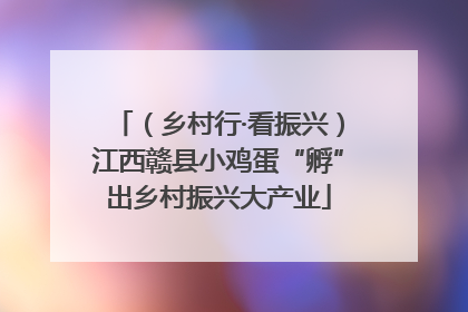（乡村行·看振兴）江西赣县小鸡蛋“孵”出乡村振兴大产业