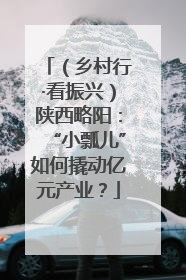 （乡村行·看振兴）陕西略阳：“小瓢儿”如何撬动亿元产业？
