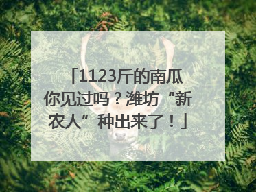 1123斤的南瓜你见过吗？潍坊“新农人”种出来了！