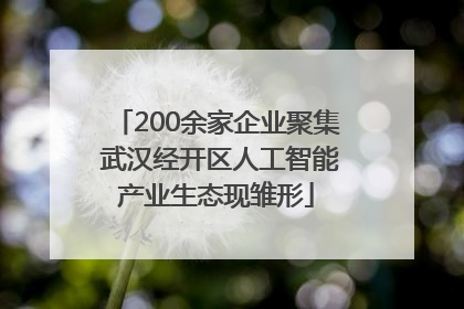 200余家企业聚集 武汉经开区人工智能产业生态现雏形