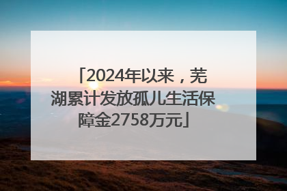 2024年以来，芜湖累计发放孤儿生活保障金2758万元