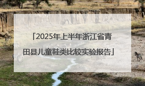 2025年上半年浙江省青田县儿童鞋类比较实验报告
