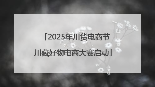 2025年川货电商节川藏好物电商大赛启动