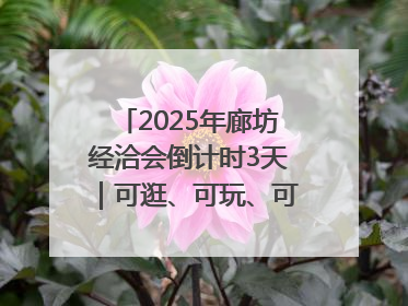 2025年廊坊经洽会倒计时3天｜可逛、可玩、可购，快来6街16巷逛市集